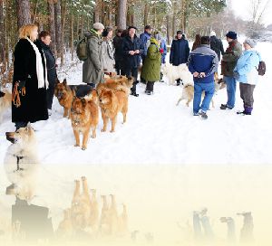 am kleinen Rothsee am 2. Advent in Polsdorf bei Allersberg